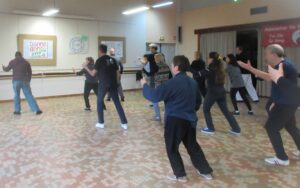 Tai Chi séparer crinière