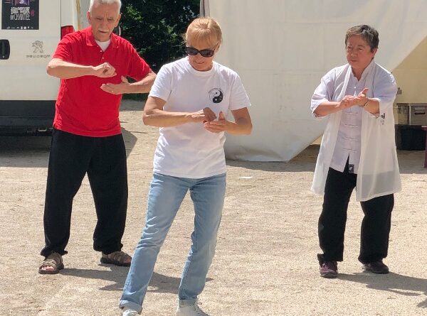 Tai Chi coups de poings